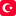 Türkçe